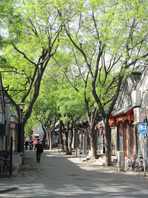 Beijing Hutong Inn Dış mekan fotoğraf